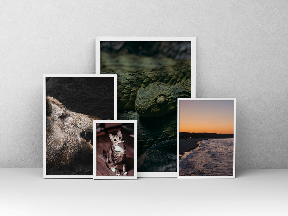 Natur & Tiere